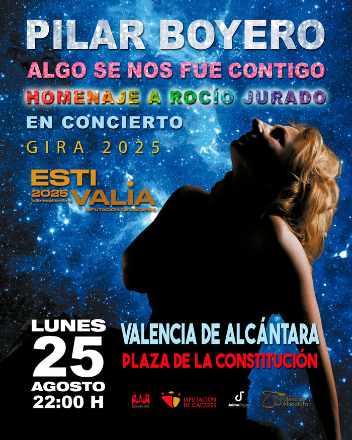 pilarboyero_web